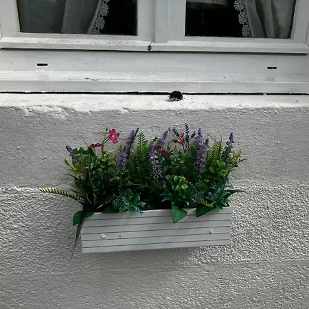 Des Roses Дом отдыха