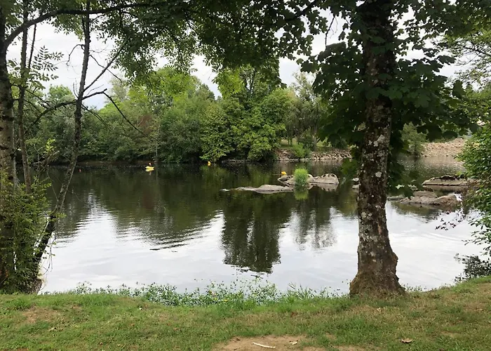 Des Roses Oradour-Fanais