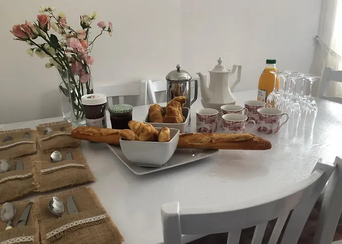 Des Roses Oradour-Fanais