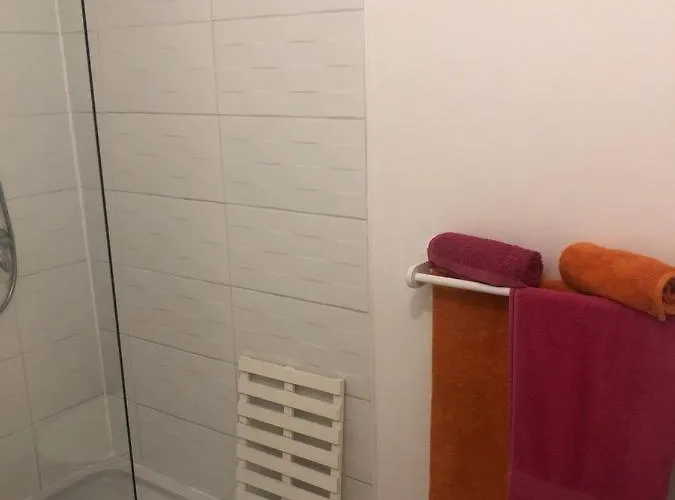 Des Roses Oradour-Fanais