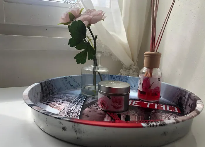 Des Roses Oradour-Fanais