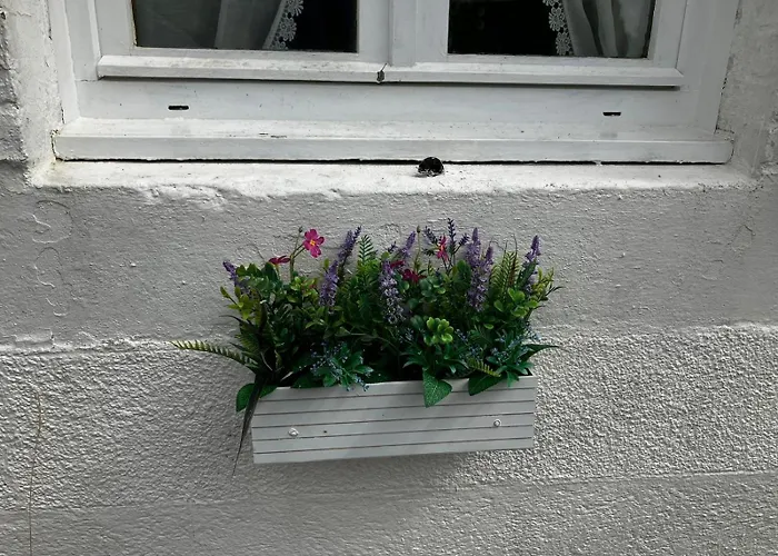 Des Roses Holiday home