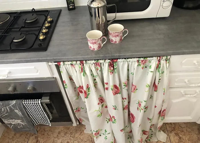 Des Roses Oradour-Fanais